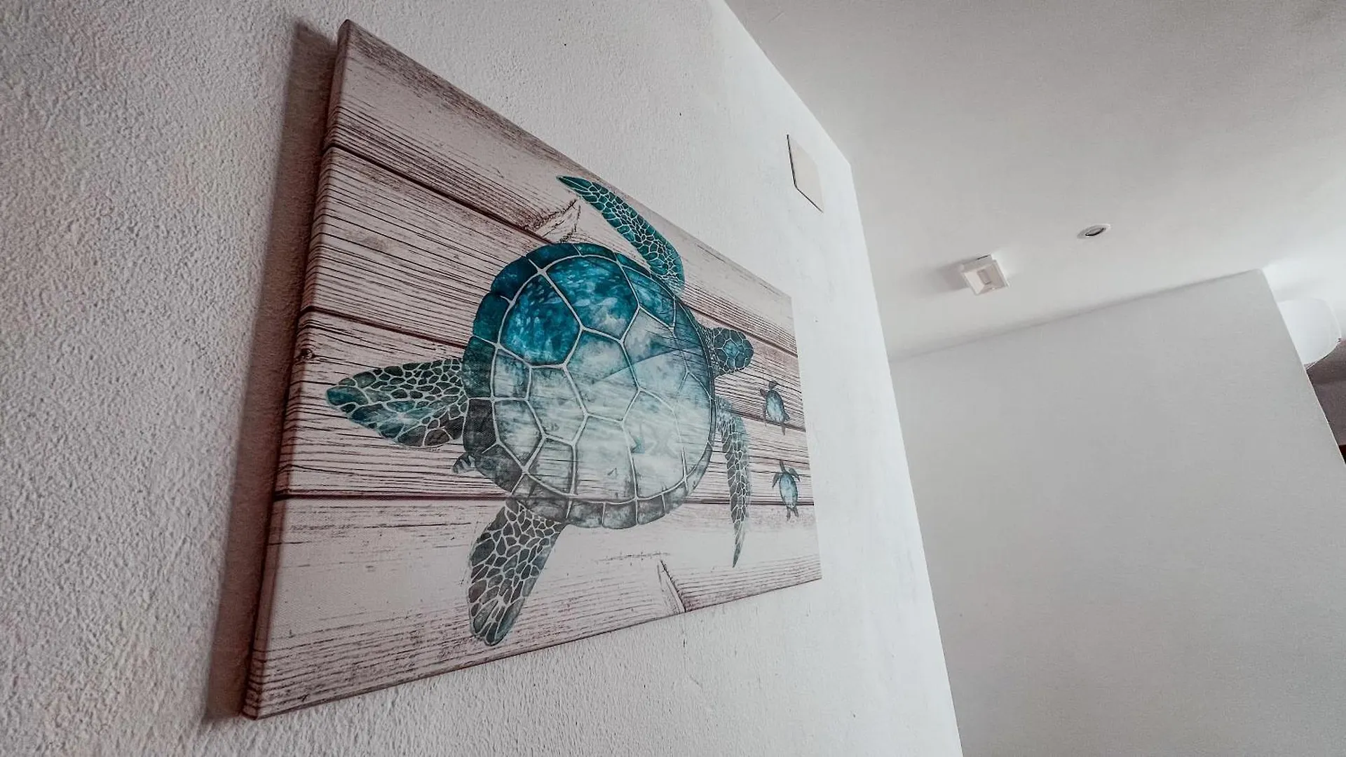 La Tortuga Lodging Rooms Tarifa Affittacamere